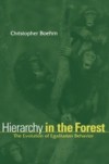 Hierarchy in the Forest