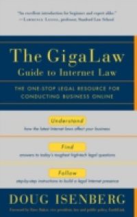 GigaLaw Guide to Internet Law