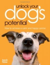 Unlock Your Dog's Potential