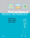 Flesh and Bones of Medical Microbiology