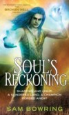 Soul s Reckoning