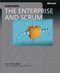 Enterprise and Scrum