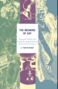Meaning of Gay