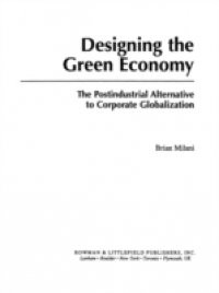 Designing the Green Economy