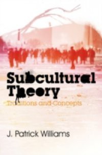 Subcultural Theory