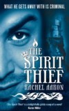 Spirit Thief