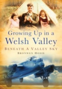 Growing Up In A Welsh Valley