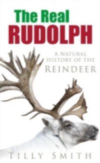 Real Rudolph