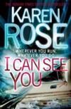 I Can See You (The Minneapolis Series Book 1)