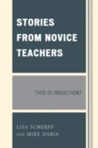 Stories from Novice Teachers