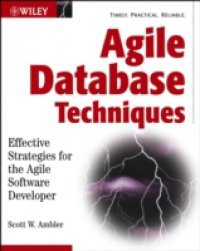 Agile Database Techniques
