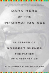 Dark Hero of the Information Age