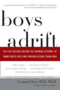 Boys Adrift