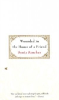 Wounded in the House of a Friend