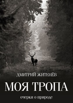 Моя тропа