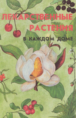 Лекарственные растения в каждом доме