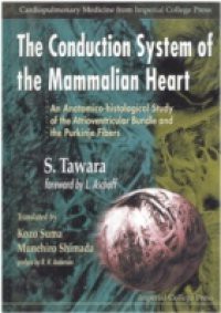 CONDUCTION SYSTEM OF THE MAMMALIAN HEART, THE