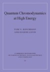 Quantum Chromodynamics at High Energy