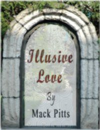 Illusive Love Ebook