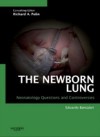 Newborn Lung: Neonatology Questions and Controversies
