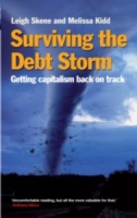 Surviving the Debt Storm