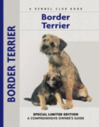 Border Terrier