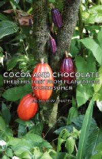 Cocoa And Chocolate – Their History From Plantation To Consumer