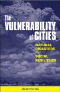 Vulnerability of Cities