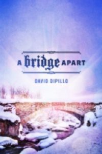 Bridge Apart