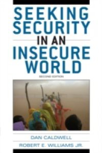 Seeking Security in an Insecure World