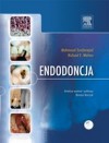 Endodoncja