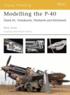 Modelling the P-40