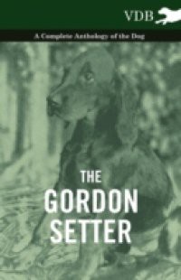 Gordon Setter – A Complete Anthology of the Dog