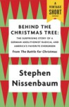 Behind the Christmas Tree
