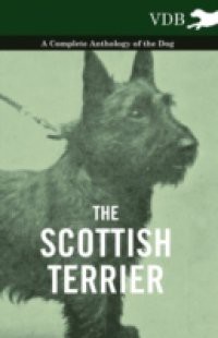 Scottish Terrier – A Complete Anthology of the Dog