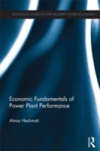 Economic Fundamentals of Power Plant Performance