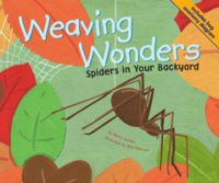 Weaving Wonders