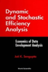 DYNAMIC AND STOCHASTIC EFFICIENCY ANALYSIS