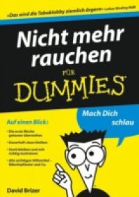 Nicht mehr rauchen f r Dummies