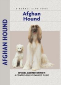 Afghan Hound