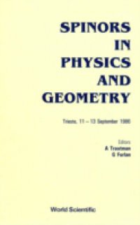 SPINORS IN PHYSICS AND GEOMETRY