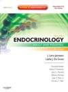 Endocrinology