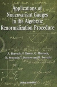 APPLICATIONS OF NONCOVARIANT GAUGES IN THE ALGEBRAIC RENORMALIZATION PROCEDURE
