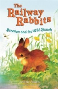 Railway Rabbits: Bracken and the Wild Bunch (Railway Rabbits 11)