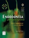 Endodontia