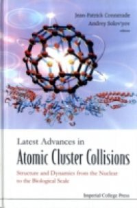 LATEST ADVANCES IN ATOMIC CLUSTER COLLISIONS