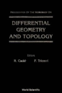 DIFFERENTIAL GEOMETRY AND TOPOLOGY – PROCEEDINGS OF THE WORKSHOP
