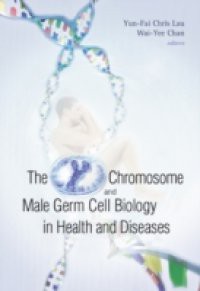 Y CHROMOSOME AND MALE GERM CELL BIOLOGY IN HEALTH AND DISEASES, THE