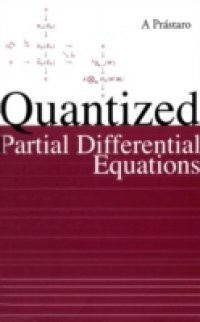 QUANTIZED PARTIAL DIFFERENTIAL EQUATIONS