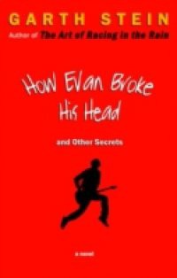 How Evan Broke His Head and Other Secrets